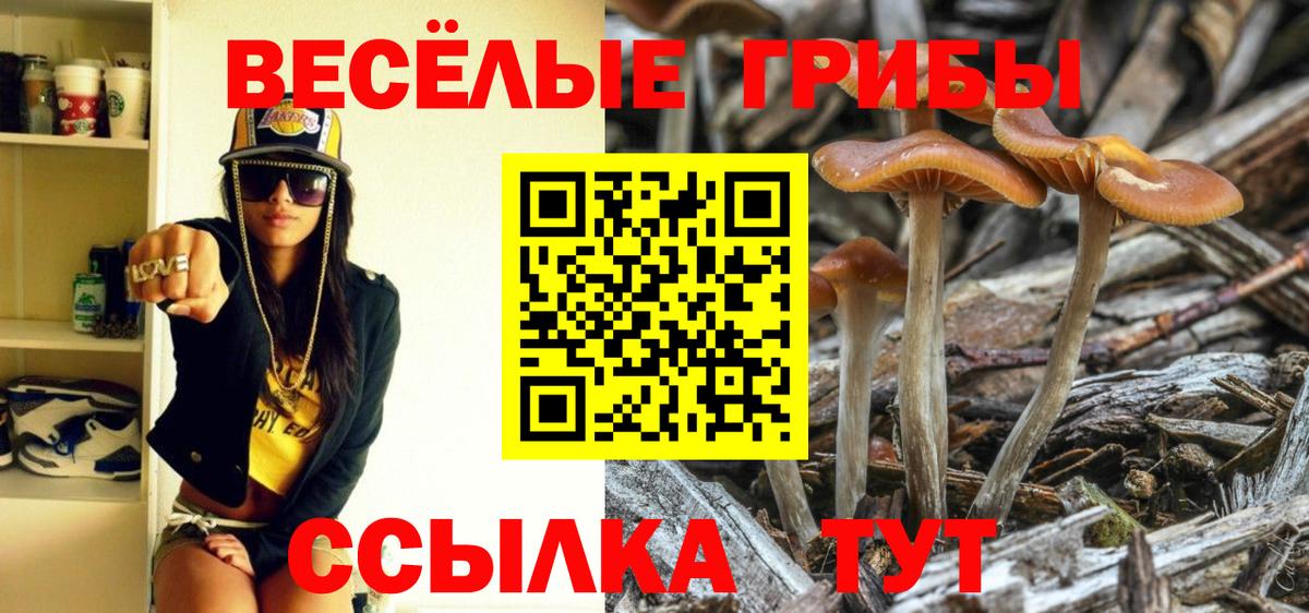 Уссурийск  Псилоцибиновые грибы мухоморы  Вход с VPN 